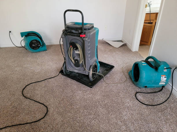 Best Ceiling water damage repair  in Monticello, IN