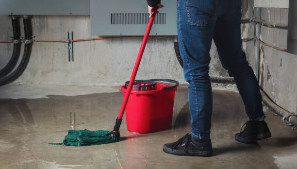 Best 24-hour water damage restoration  in Monticello, IN